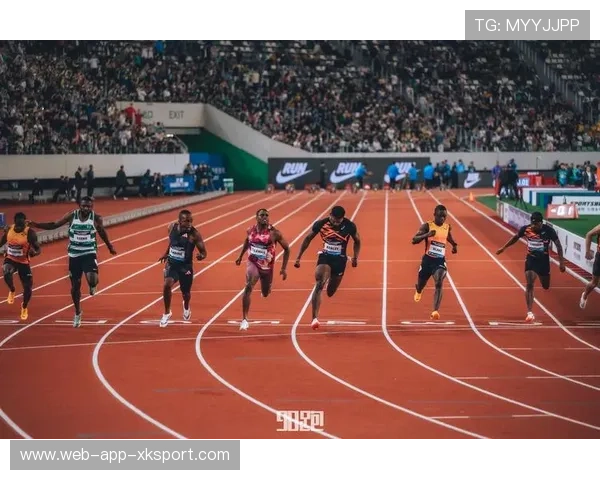 南非队守备出色，展现冠军风范，南非比赛